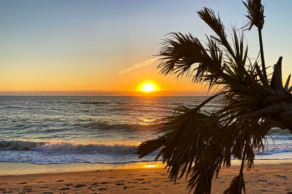 Beach - Coastal charm within blocks of the Gulf beaches, snowbird and dog friendly, AC (Venice)