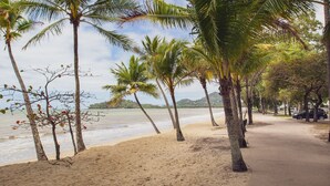 A beach with palm trees and a paved path.