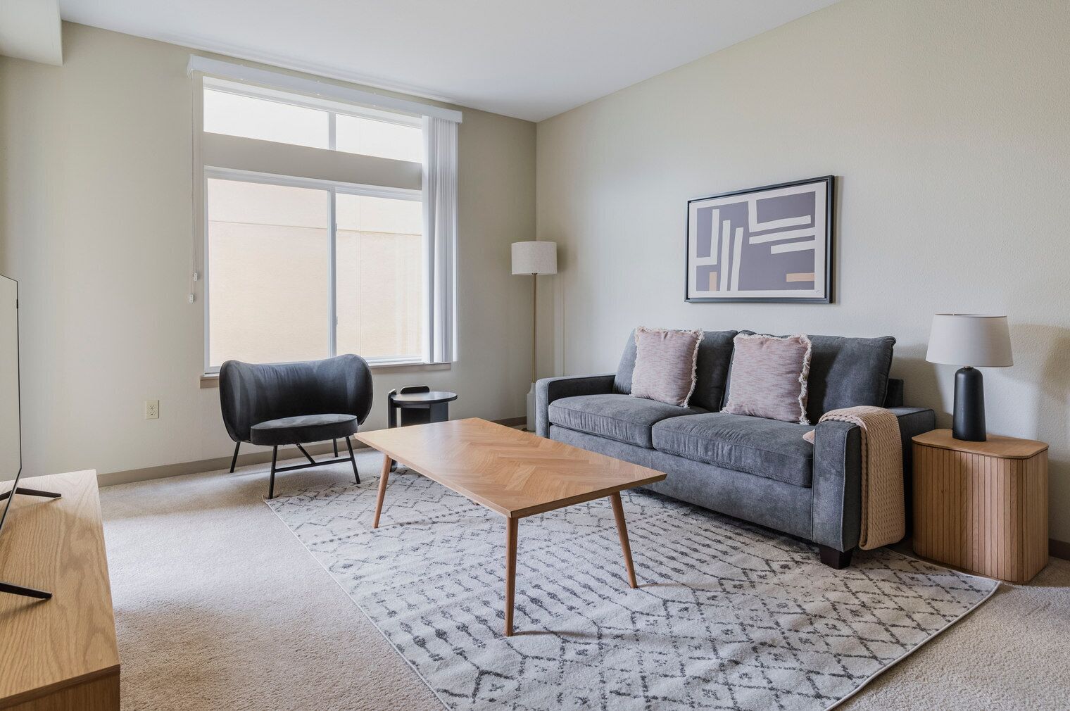 Televisión y estéreo 