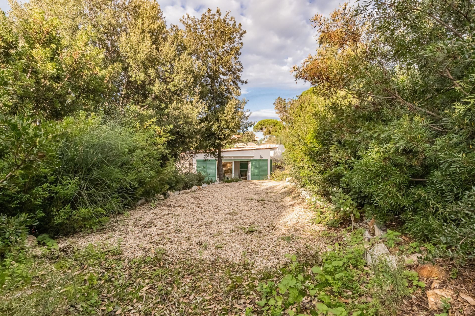 Uma casa isolada, cercada por vegetação densa, com um caminho de cascalho que leva à entrada.