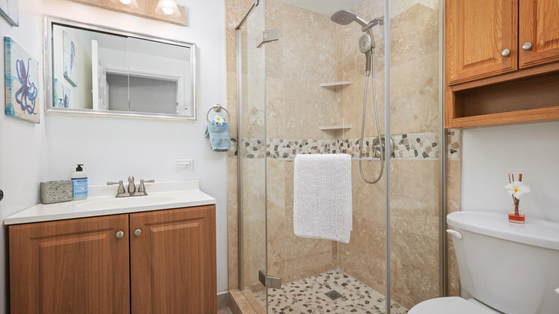 Shower, hair dryer, towels