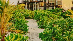 A pathway leading to a building with a thatched roof and multiple balconies. - Araaik Beach Village (Hoarafushi)