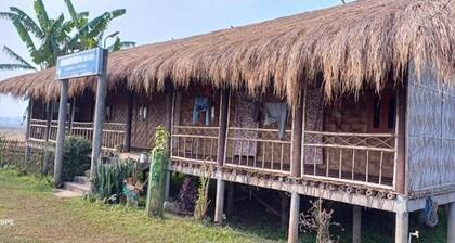Sarangi Stay By GRB