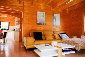 Televisio, takka, DVD-soitin, stereot