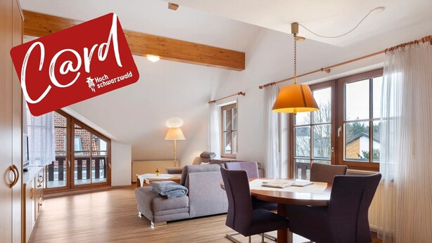Ein geräumiges Zimmer mit Holzboden, einem Esstisch mit Stühlen, einer Couch, einer Lampe und großen Fenstern.