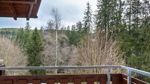 A wooden balcony with a metal railing overlooking a forested area and a road.
