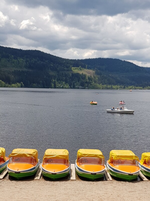 Beach nearby - Apartment 'Nr 2' with Balcony and Wi-Fi (Titisee-Neustadt)