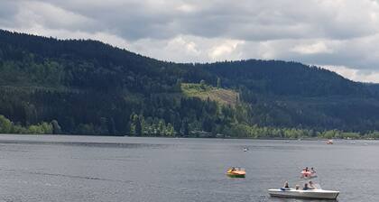 Haus Titisee Ferienwohnung 'Nr 2' mit kleiner Terrasse und Wi-Fi