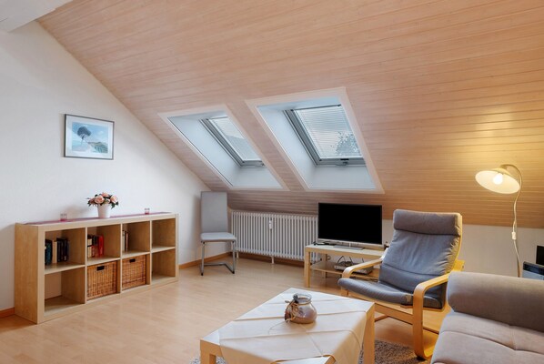A loft-style room with a sloped ceiling, skylights, a television, a sofa, a chair, a bookshelf, and a radiator.