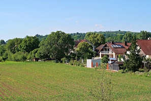 Un paysage rural avec des maisons, un champ et des arbres.