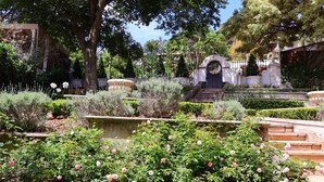 Un jardín con una fuente, escalones de piedra y diversas plantas.