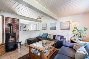 Televisión, chimenea y reproductor de DVD 