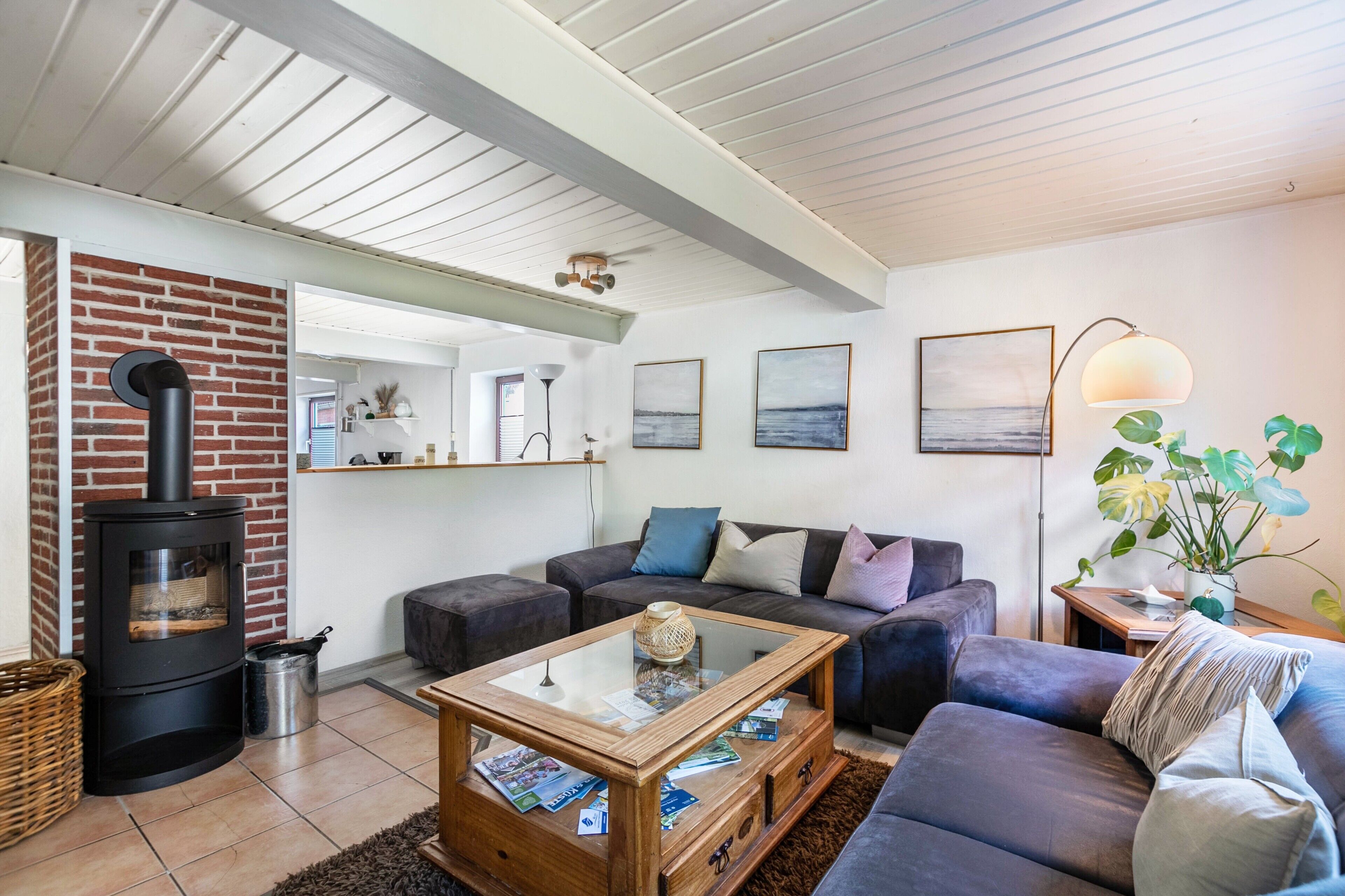 Fernseher, Kamin, DVD-Player