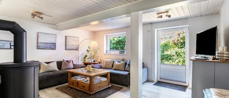 Télévision, cheminée, lecteur de DVD