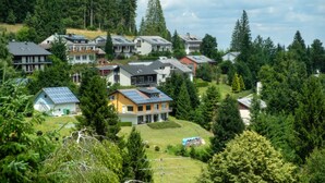 A residential area with houses, some with solar panels, surrounded by trees and greenery.