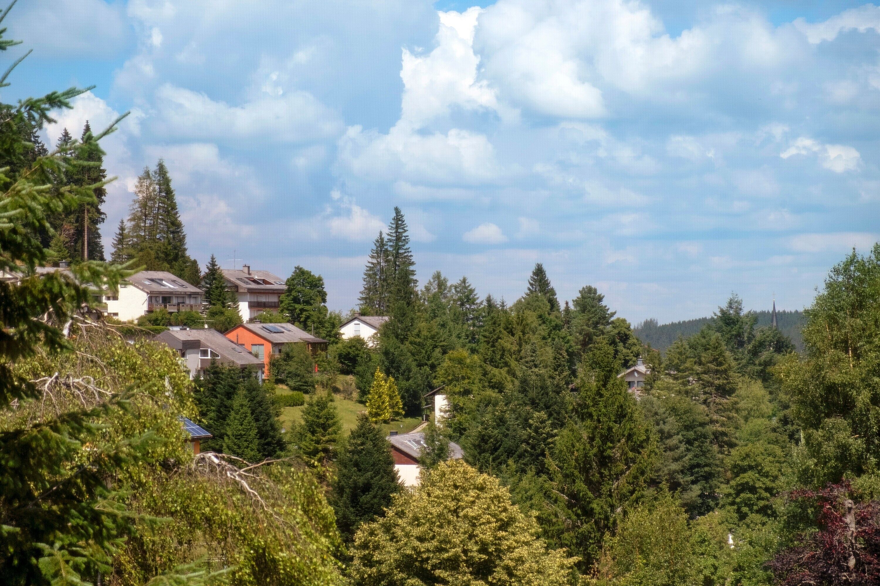 Un barrio residencial con casas rodeadas de un bosque frondoso, bajo un cielo parcialmente nublado.