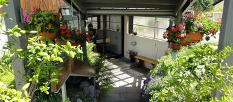 Apartment 2 'Ringelblume, 42qm' with Balcony and Wi-Fi