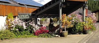 Appartement 'Ringelblume, 42qm' met Balkon en WiFi