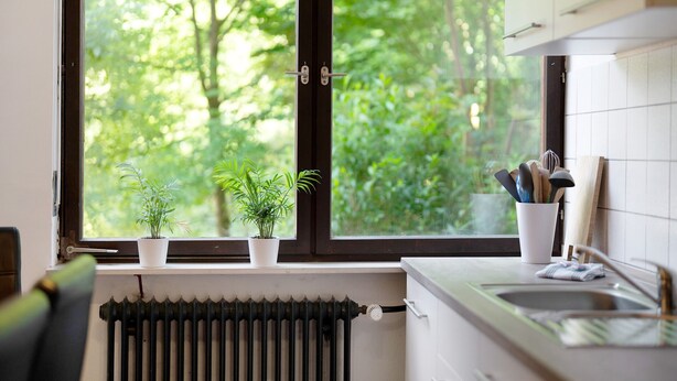 Een keuken met een raam, twee potplanten, een radiator en een spoelbak.