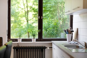 Een keuken met een raam, twee potplanten, een radiator en een spoelbak.