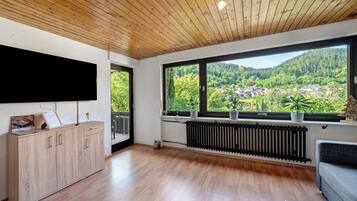 Fernseher