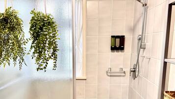 Shower, hair dryer, towels
