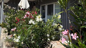 En moderne bygning med et haveområde med forskellige planter og blomster.