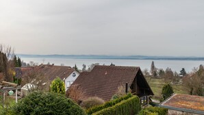 A residential area with houses, a clear view of a lake, and distant mountains.