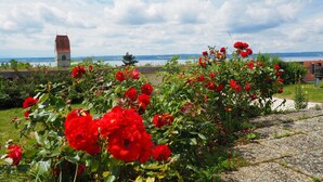 A garden with red flowers and a distant view of a tower.