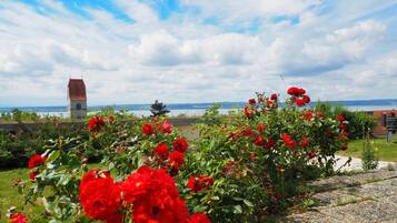 Un giardino con fiori rossi e una vista lontana di una torre.