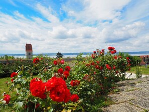 Property grounds - Double Room with Lake View, Balcony and Wi-Fi (Hagnau am Bodensee)