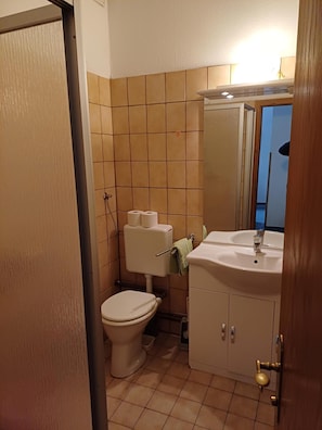 Shower, hair dryer, towels, toilet paper
