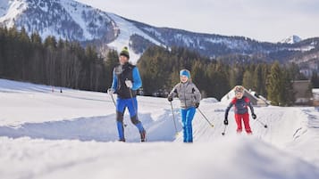 Ski