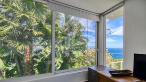 A room with a large window offering a view of tropical foliage and the ocean.