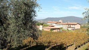 A vineyard with rows of grapevines and a building with a red-tiled roof in the background. - Apartment in Iseo with Pool (Cazzago San Martino)
