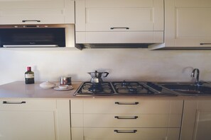 Fridge, microwave, stovetop, dishwasher