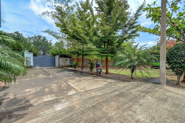 Un amplio espacio al aire libre con un patio de concreto, rodeado de árboles y follaje variado.