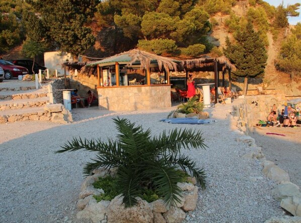 A beachside cafe with outdoor seating, a thatched-roof structure, and a rocky foreground with a palm plant.