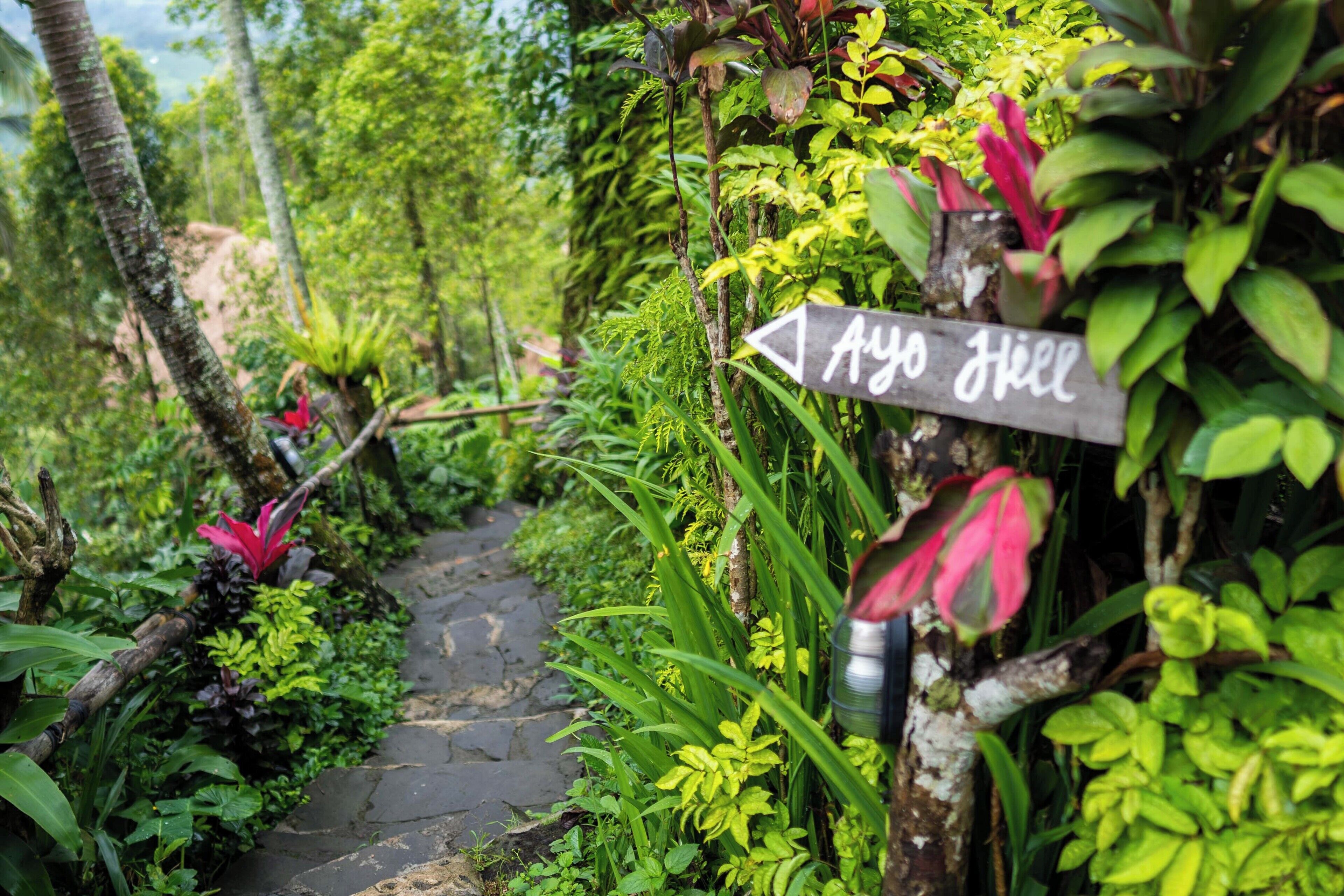 A stone pathway surrounded by lush greenery and a sign pointing to 'Ayo Hill'.