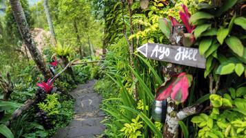 A stone pathway surrounded by lush greenery and a sign pointing to 'Ayo Hill'.