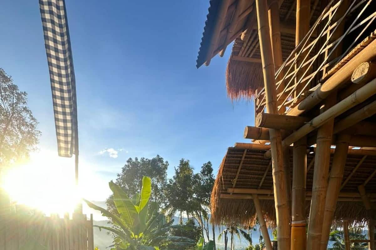 A swimming pool with a bamboo structure and a thatched roof, surrounded by tropical vegetation.