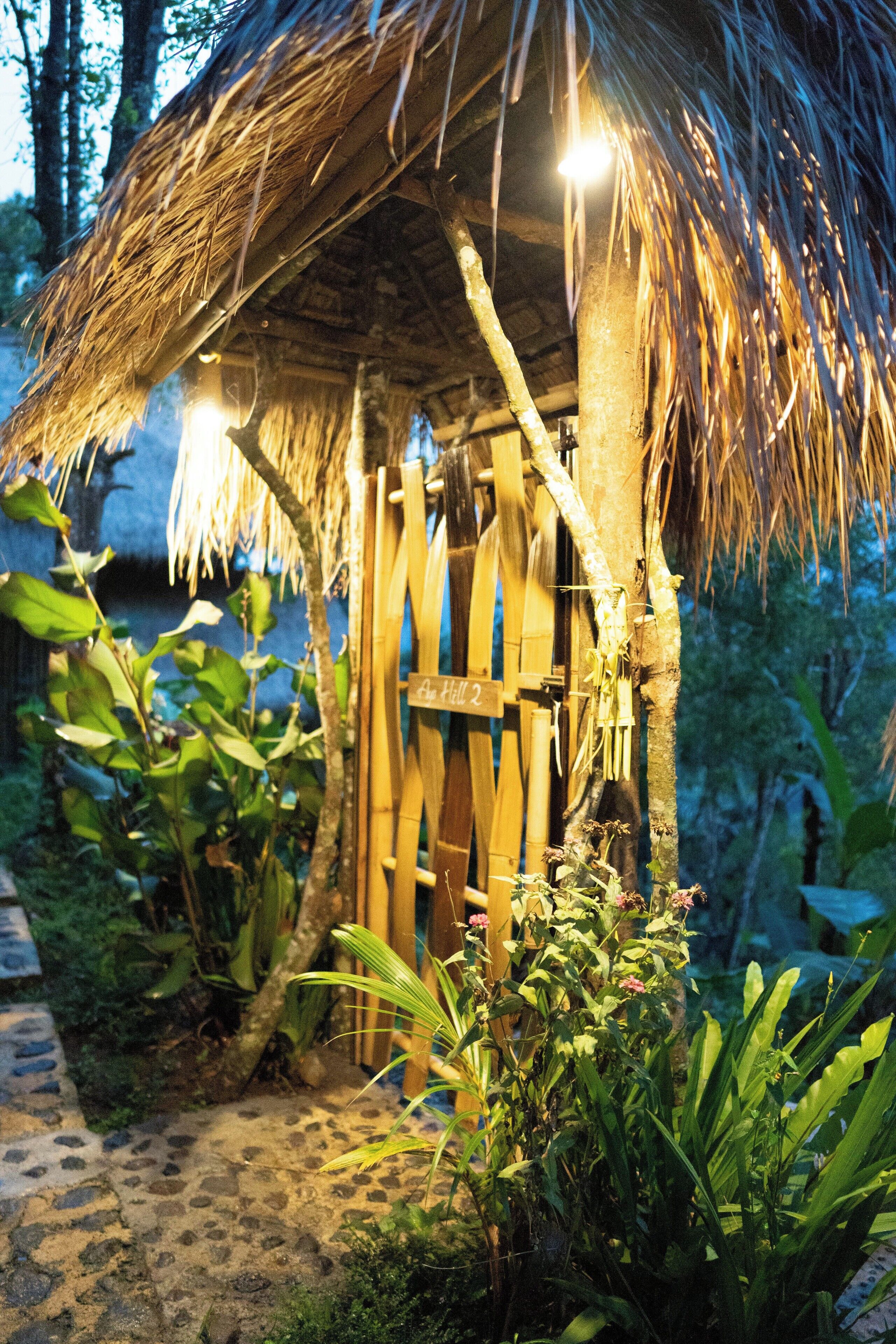 A rustic hut with a thatched roof, surrounded by lush greenery and a stone pathway.