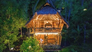 A thatched-roof structure with a balcony, surrounded by dense forest.