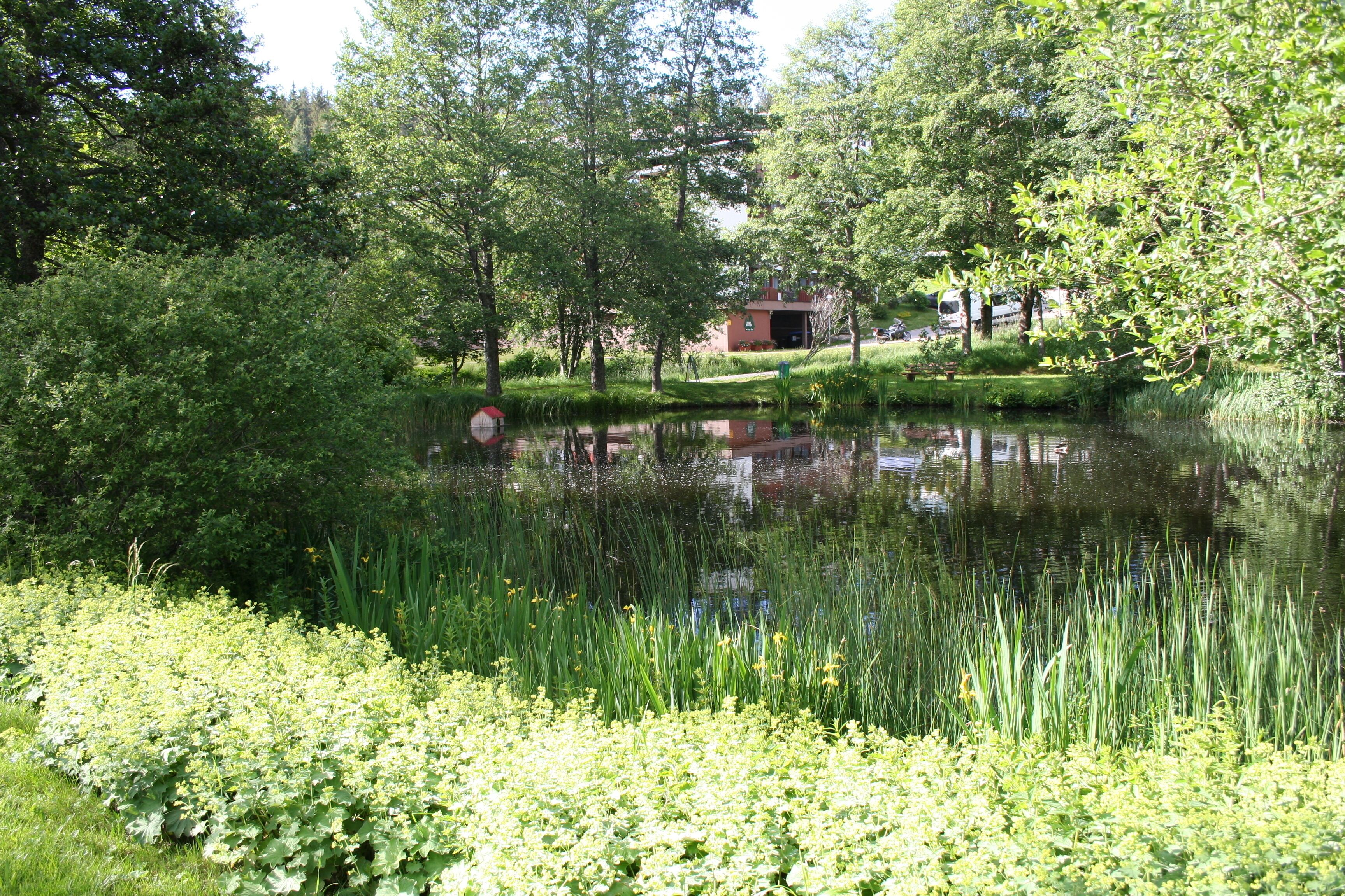 Ein ruhiger Teich, umgeben von üppigem Grün und einem kleinen Gebäude im Hintergrund.