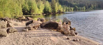 FeWo Eulenhorst - Holiday enjoyment in the vacation resort at Schluchsee (with pool)