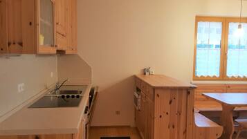 Apartment | Private kitchen | Fridge, microwave, oven, dishwasher
