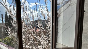 A room with a large window offering a view of blooming trees and buildings.