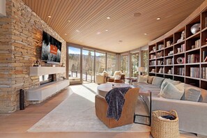 TV connectée, cheminée, livres, chaîne hi-fi