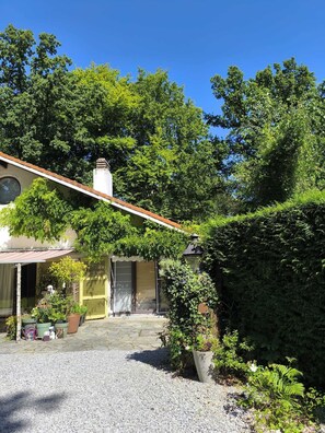 Terrace/patio - Charming Studio the Heart of the Forest (Chaumont-Gistoux)