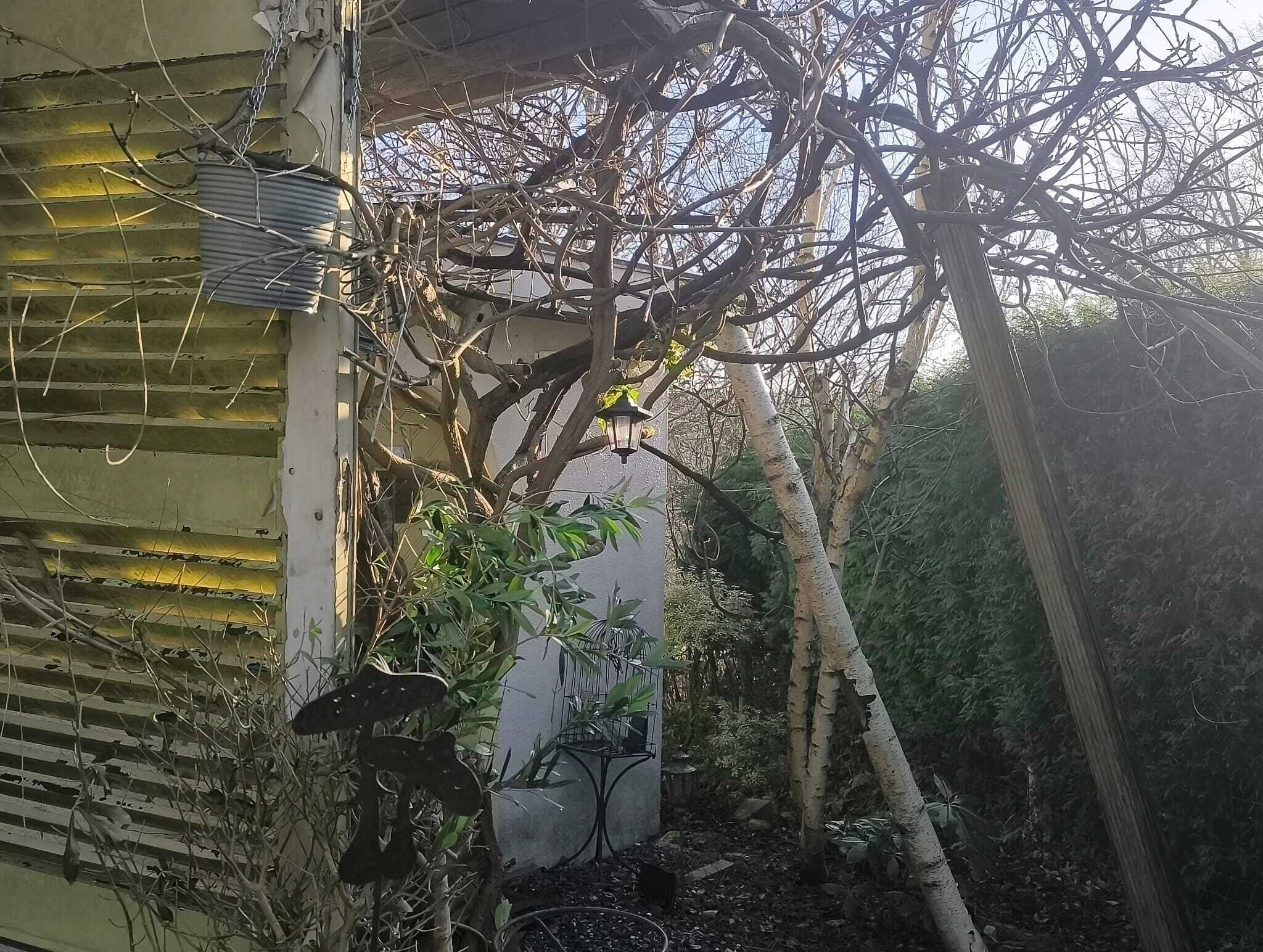 บริเวณภายนอก